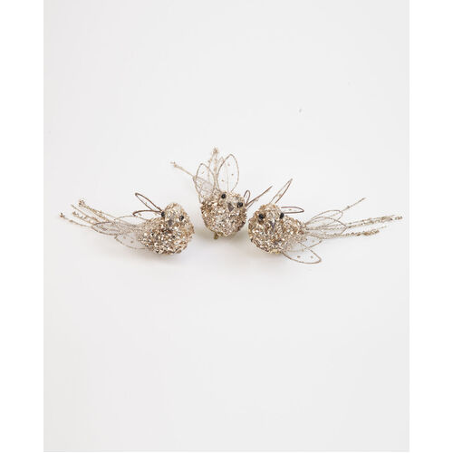 Poem Clip on bird - set 3