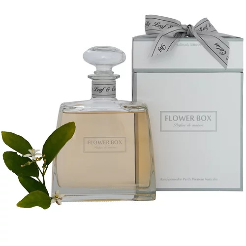 Hallmark Diffuser Fig Leaf & Cedar