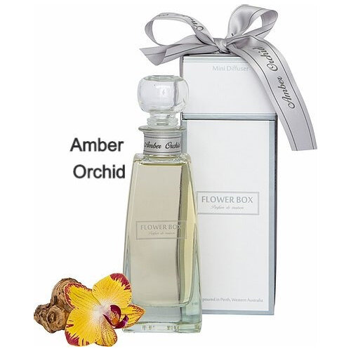 Mini Diffuser Amber Orchid