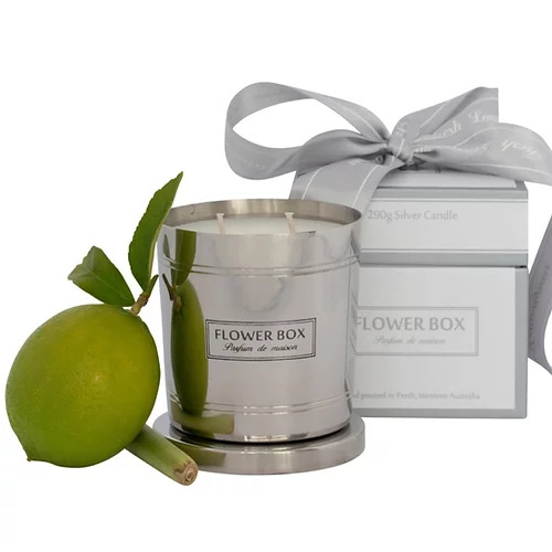 Fresh Lemongrass 290g Silver Candle