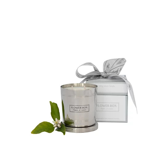 Fig Leaf & Cedar 290g Silver Candle