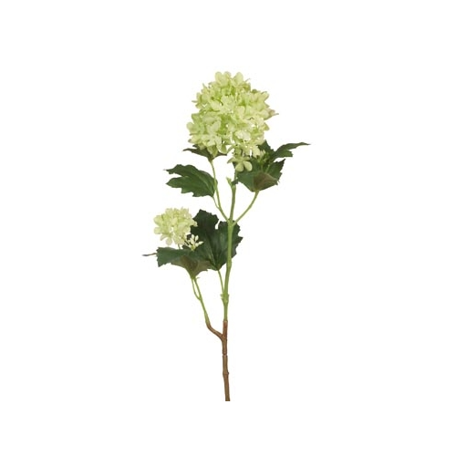 Snowball Branch